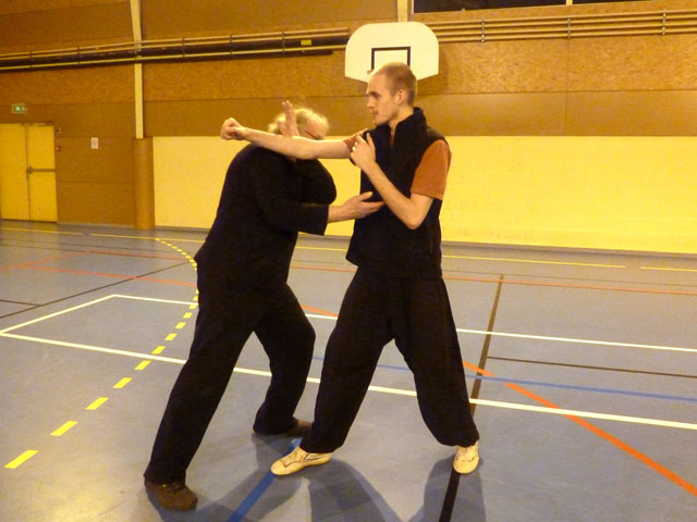 Tai Ji Quan - Canteleu - satge G.Saby 2013